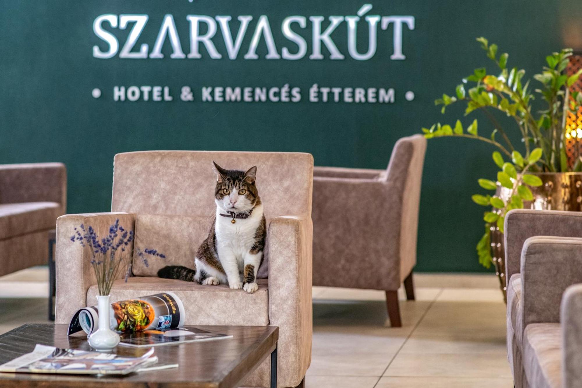 Szarvaskut Hotel Zirc Exteriör bild